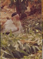ר' חיים (5).jpg