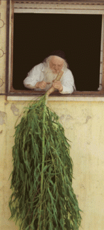 הגרחק.gif