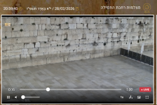 כותל שאגת ארי.png
