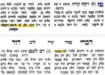 טז.jpg