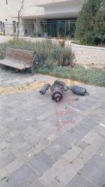 רסיס.png