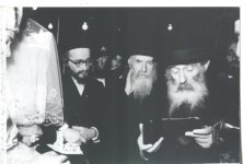 ריל445.jpg