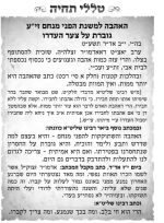 פני מנחם.png