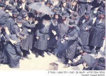 הפני מנחם בשרפת חמץ.jpg