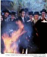 צאנז שריפת חמץ1.jpg