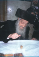 הרב וואזנר סביבון.png