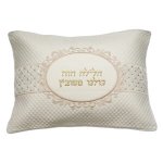 בדין הסיבה קמיה רבו