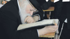 רשיב8.png