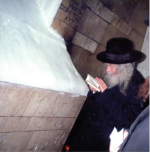 פנמ במירון.png