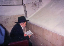 הנתבש במירון.png