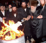 לג בעומר סאדיגורה.png