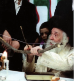לג בעומר צאנז1.png