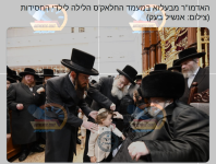 בעלזא.png