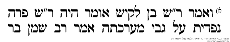 142585_174.png