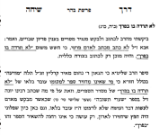 לא תרדה 1.PNG