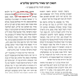 רמ גרינמן.png