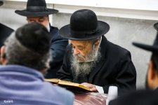 הרב שמידל לומד.jpg