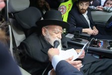 לוי.jpg