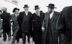 1בנגיס.JPG