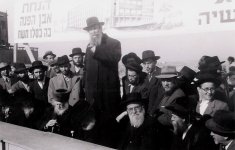 בנגיס.JPG