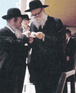 רדפ עם הגריגא.png