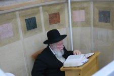 IMG_0629.jpg