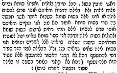 הפרדס לרשי.jpg