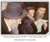 הרב.png