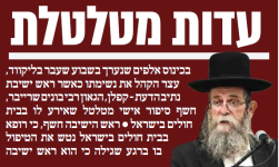 רפבש1.png