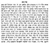 פנחס.png