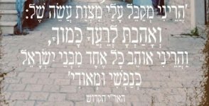 הילולא הארי הקודש.jpg