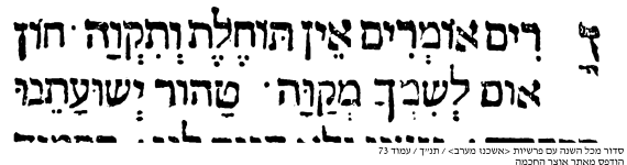 לובלין שי''א.png