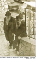11הסטייפלר.jpg