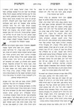 צילום מסך 2026-08-12 011238.jpg