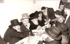 אירוסי ררש1.jpg