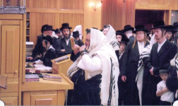 תקש בעלזא2.png