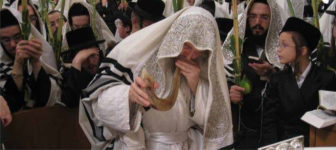 תקש נדבורנה.png