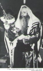 צאנז הקפות שניות.jpg