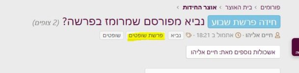 שופטים.JPG