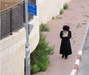 האדמור.PNG