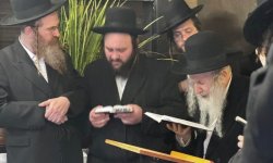 תשליך אמשינוב.jpg