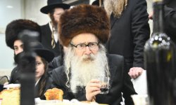 אמשינוב טיש.jpg