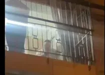 נקיון חמץ הרבי מאמשינוב.webp