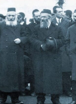 ריל בשוק של מיר עם ראיפ.png