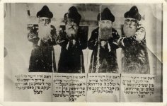 סאדיגורא נדיר.jpg