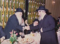 בעל החדושים ובאורים מרן הגרחש גריינימן  (5).JPG
