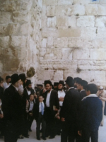בעל החדושים ובאורים מרן הגרחש גריינימן  (4).png