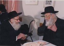 בעל החדושים ובאורים מרן הגרחש גריינימן  (6).JPG