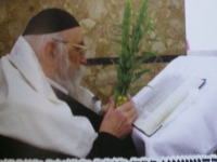 בעל החדושים ובאורים מרן הגרחש גריינימן  (8).png