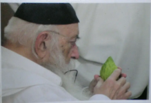 בעל החדושים ובאורים מרן הגרחש גריינימן  (18).png